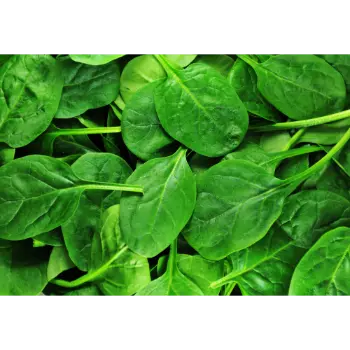 spinach (1)-1184966-77020.webp